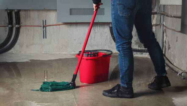 Best Ceiling water damage repair  in Dixon Lane Meadow Creek, CA