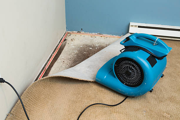 Best Basement water damage restoration  in Dixon Lane Meadow Creek, CA